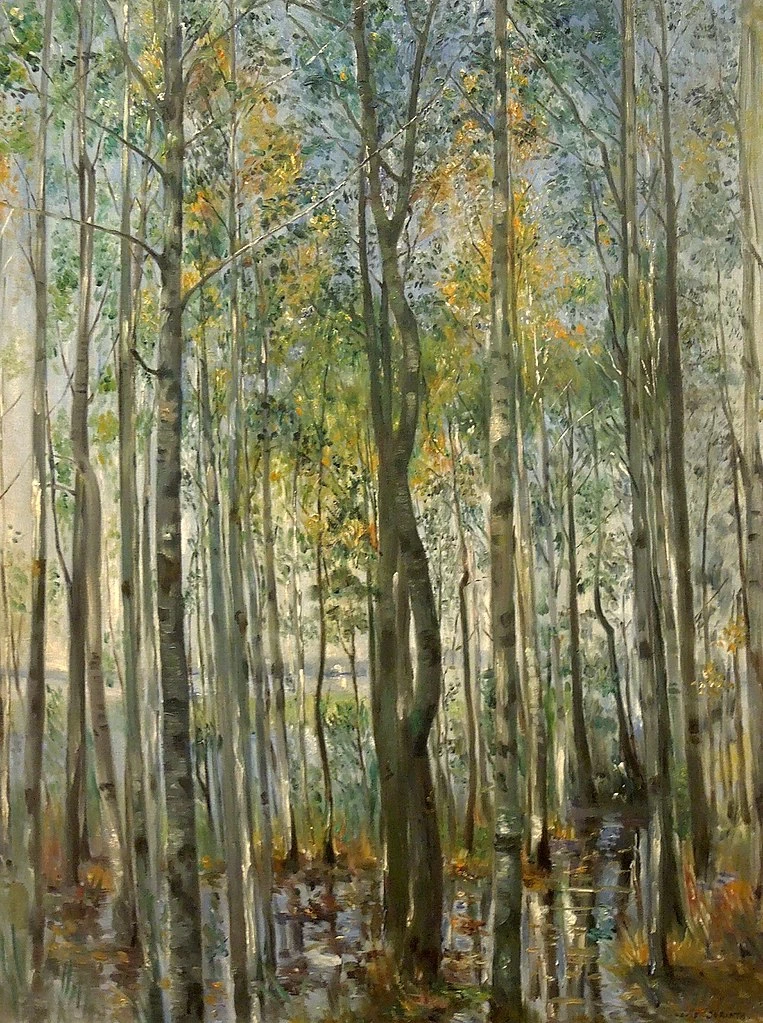Foresta - Muzeum Narodowe we Wrocławiu